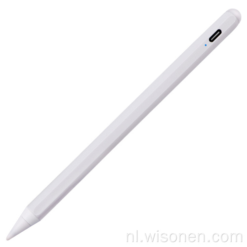 Beste capacitieve styluspen voor Apple iPad